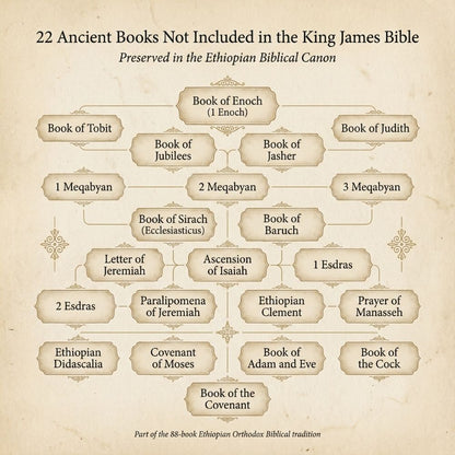 FaithMade Most Complete Ethiopian Bible